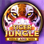 Hình ảnh máy đánh bạc jackpot tích lũy với tiền vàng và ánh sáng rực rỡ